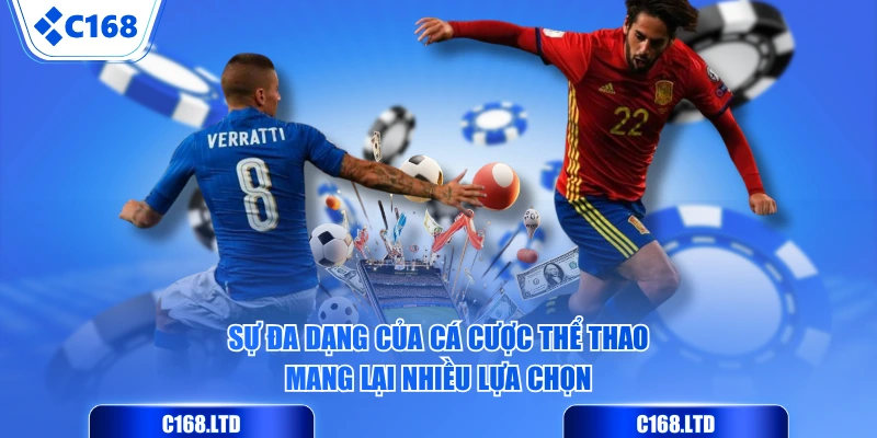 Sự đa dạng của cá cược thể thao mang lại nhiều lựa chọn